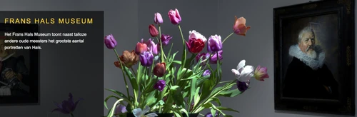 Tulpomania bloemen bezorgen
